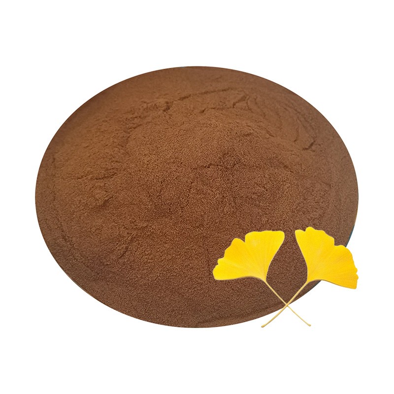 Ginkgo Biloba Extract Manufacturer - Natural Supplement Capsule Ingredient