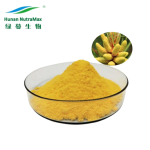 Pine Pollen Powder Manufacturer - Shell Broken 20:1 Powder