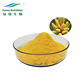 Pine Pollen Powder Manufacturer - Shell Broken 20:1 Powder
