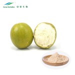 Monk Fruit Extract Manufacturer - Mogroside V 25% Bulk Powder