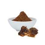 Chaga Extract Manufacturer - 50% Polysaccharides Powder Health
