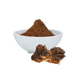 Chaga Extract Manufacturer - 50% Polysaccharides Powder Health