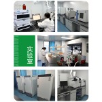 Acorus Gramineus Extract Manufacturer - 5:1-20:1 High Quality Natural