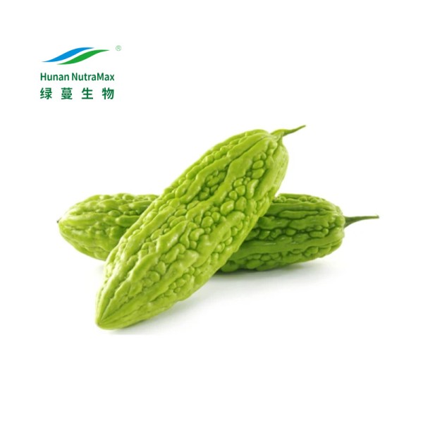 Bitter Gourd Extract Supplier - 10:1 Leaves Karela Powder