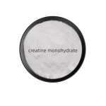Creatine Monohydrate Manufacturer - 98% CAS 6020-87-7 Sports Nutrition