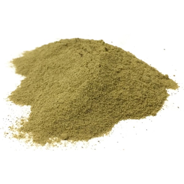 Rosemary Powder Supplier - Dried Leaf Extract Pure Powder