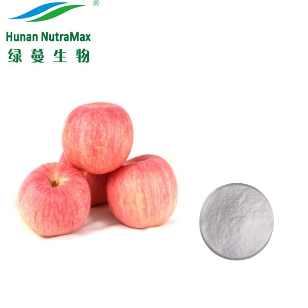 Apple Cider Vinegar Powder Manufacturer - 5% Acetic Acid Pure