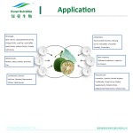 Liquid Monk Fruit Extract Manufacturer - Food Grade No Erythritol