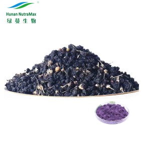 Black Wolfberry Extract Factory - 10% Anthocyanidins Goji Berry