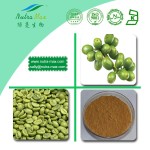 Green Coffee Bean Extract Factory - Water Soluble Chlorogenic Acid