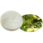 Griffonia Extract Factory - 98% 5-HTP Best Supplier