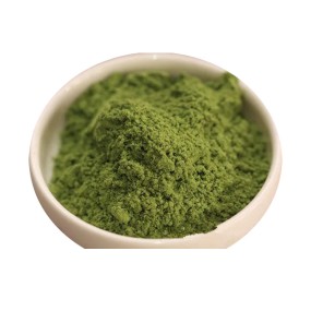 Alfalfa Leaf Powder Supplier - Food Grade Grass Powder Bulk
