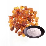 Boswellia Serrata Extract Manufacturer - 45% Boswellic Acid Powder