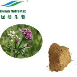 Valerian Root Extract Manufacturer - 0.8% Valeric Acid HPLC