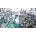 Mango Powder Factory - Spray Drying Flavoring Powder Ready