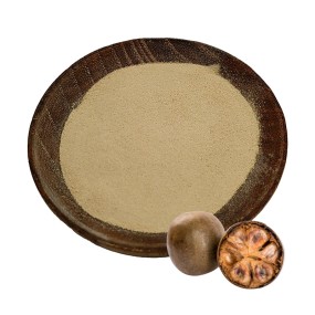 Monk Fruit Extract Supplier - Powdered Mogroside V25 Natural