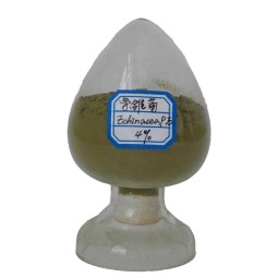 Echinacea Extract Supplier - 4% Polyphenols Purity Powder