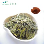 Instant Black Tea Powder Manufacturer - 10%-20% Polyphenols Extract
