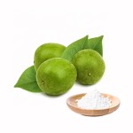 Monk Fruit Extract Supplier - 50% MV CGMP Manufacturer Supply