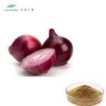 Dried Onion Extract Manufacturer - 10:1 Bulk Fruit Extract Powder