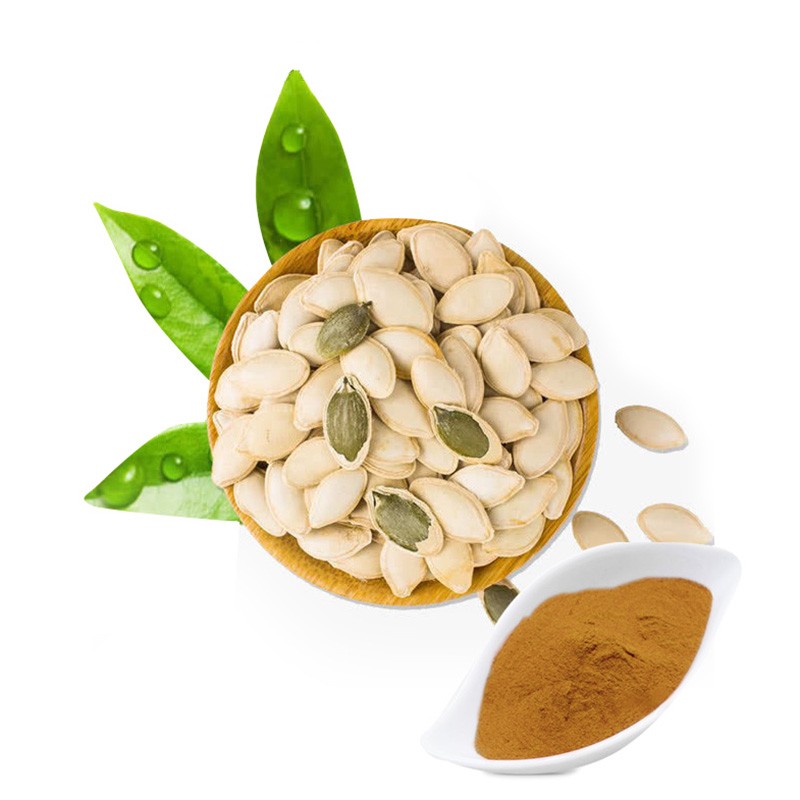 Pumpkin Seed Protein Powder Factory - 60% Seed Protein Nutrition