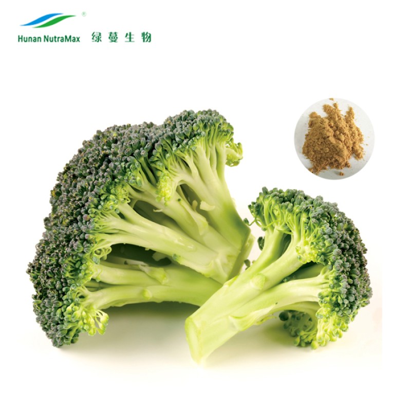 Broccoli Sprout Extract Factory - Sulforaphane Powder Natural