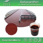 Astaxanthin Powder Factory - 1%-5% Haematococcus Pluvialis Oleoresin