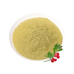 Bearberry Leaf Powder Manufacturer - Uva Ursi Herbal Extract Bulk