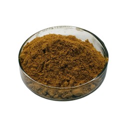 Shikakai Powder Supplier - 10:1 Acacia Concinna Hair Care