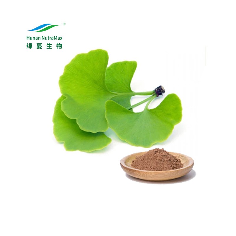 Ginkgo Biloba Extract Factory - 24/6 Standardized Extract Powder