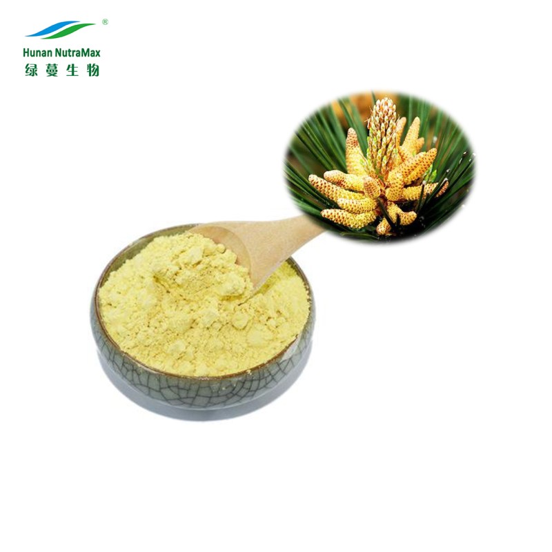 Pine Pollen Powder Manufacturer - Natural Extract Powder NutraMax