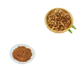 Sarsaparilla Extract Factory - Root P.E. Smilax Officinalis