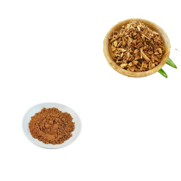 Sarsaparilla Extract Factory - Root P.E. Smilax Officinalis