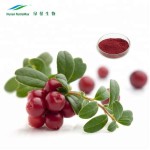 Cranberry Extract Powder Supplier - Food Grade Water Soluble 25% PAC