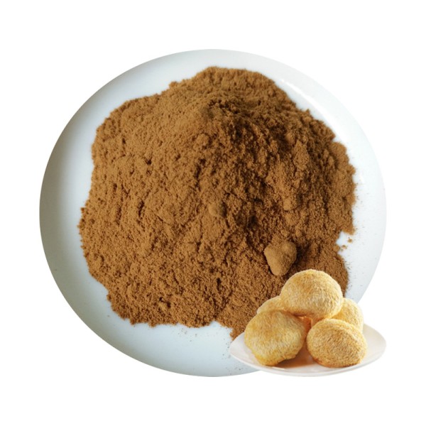 Lions Mane Powder Factory - 10% Polysaccharides Dual Extract