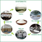 Garcinia Cambogia Extract Factory - 50%-70% HCA Powder CGMP