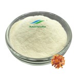 Boswellia Serrata Extract Manufacturer - 45% Boswellic Acid Powder