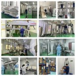 Black Carrot Powder Supplier - Juice Concentrate Liquid Powder