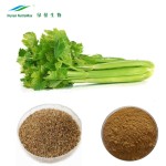 Celery Extract Powder Factory - 98% Apigenin Organic Food Grade