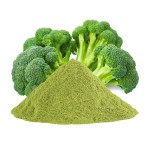 Broccoli Powder Factory - 99% Juice Powder Gluten Free