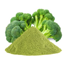 Broccoli Powder Factory - 99% Juice Powder Gluten Free