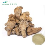 Sanqi Root Extract Supplier - Hemostatic Traditional Chinese Herb