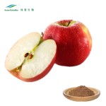 Apple Cider Vinegar Powder Manufacturer - 5% Acetic Acid Pure