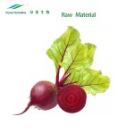 Red Beet Extract Factory - Powder Juice Concentrate Colorant