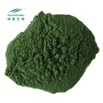 Spirulina Powder Manufacturer - Chlorella Spirulina Wholesale