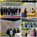 Liquid Monk Fruit Extract Manufacturer - Food Grade No Erythritol