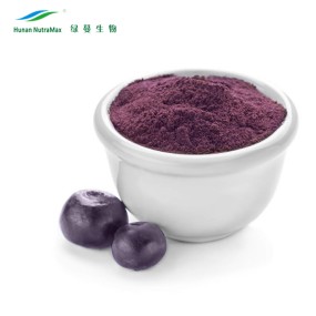 Acai Berry Powder Manufacturer - 4:1 Water Soluble 2% Powder