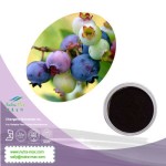 Blueberry Powder Supplier - Freeze Dried Juice Powder Drink