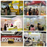 Liquid Monk Fruit Sweetener Manufacturer - Brix 65% Mogroside V 3.5%