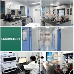 Green Tea Extract Powder Supplier - 20%-30% L-Theamine CAS 3081-61-6